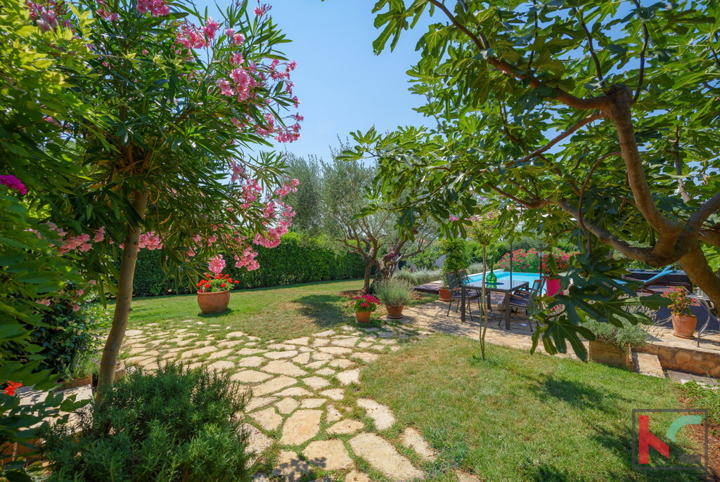 Image 6342287 - 8