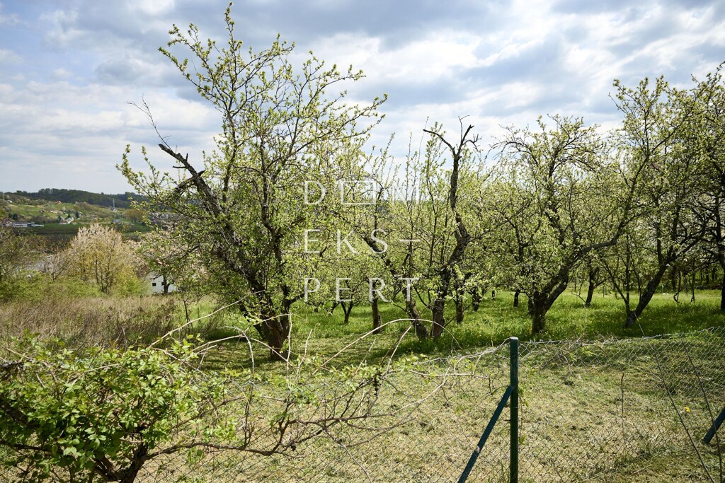 Image 6342288 - 8