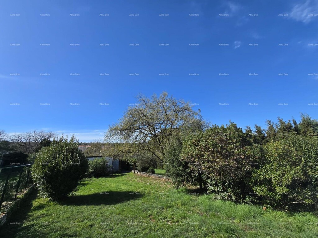 Image 6342354 - 12