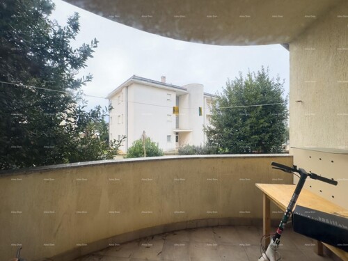 Thumbnail 6342389 - 6