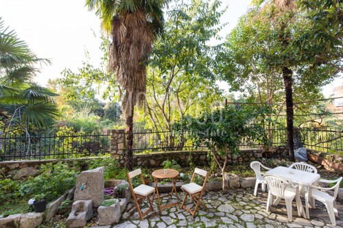 Thumbnail 6342452 - 8