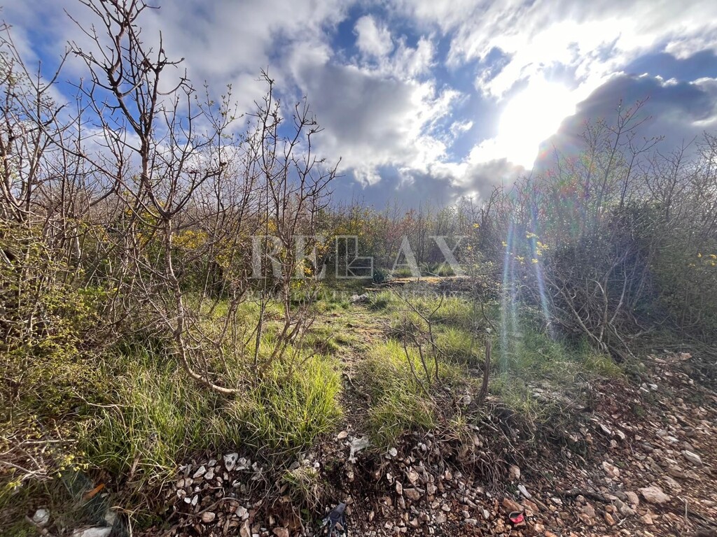 Image 6342458 - 3