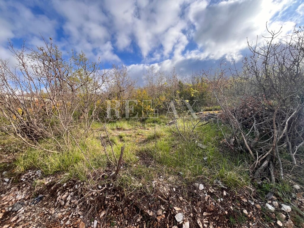 Image 6342458 - 1