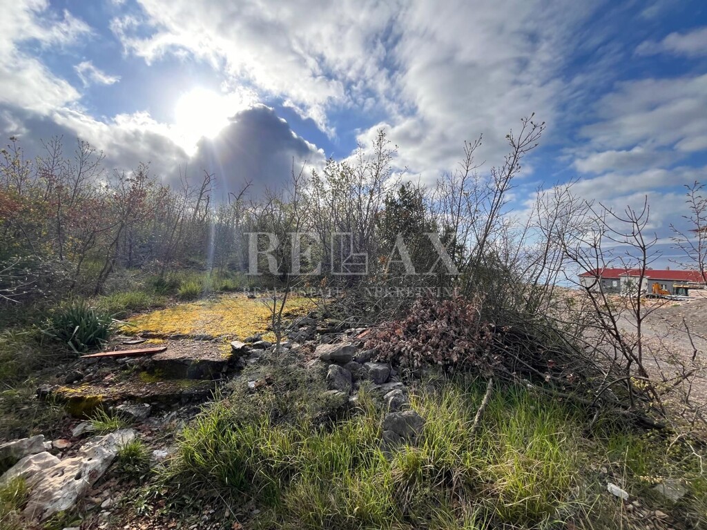 Image 6342458 - 2