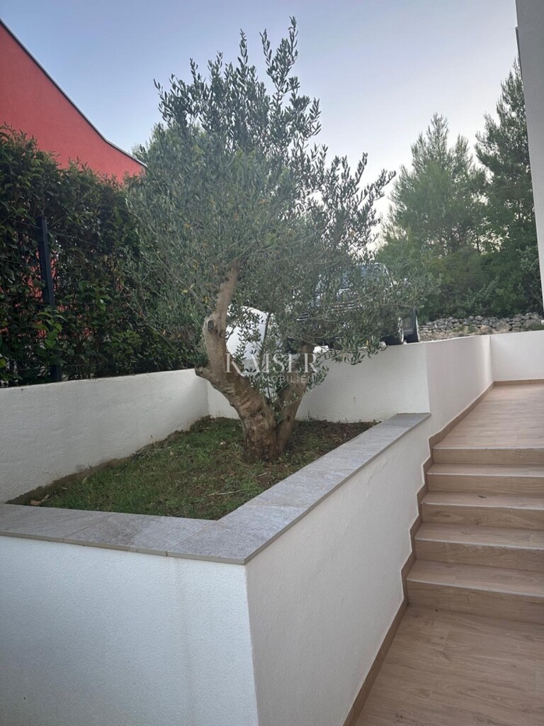 Image 6342459 - 5