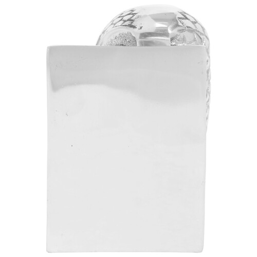 vidaXL Držači za knjige 2 kom Srebrna 7x9x11 cm Aluminij Sova