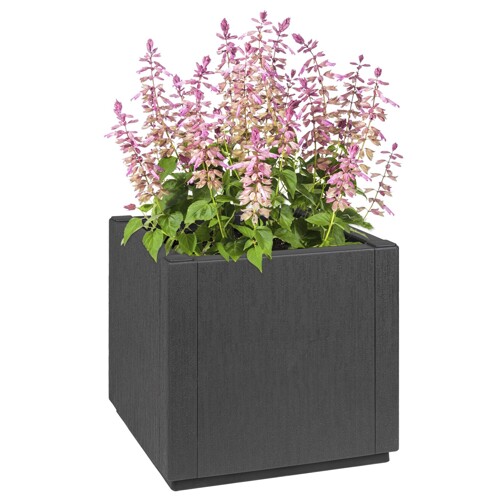 vidaXL Vrtna saksija Tamno siva 36x36x35 cm PP