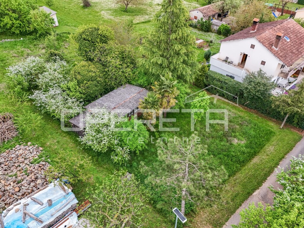 Image 6350497 - 6