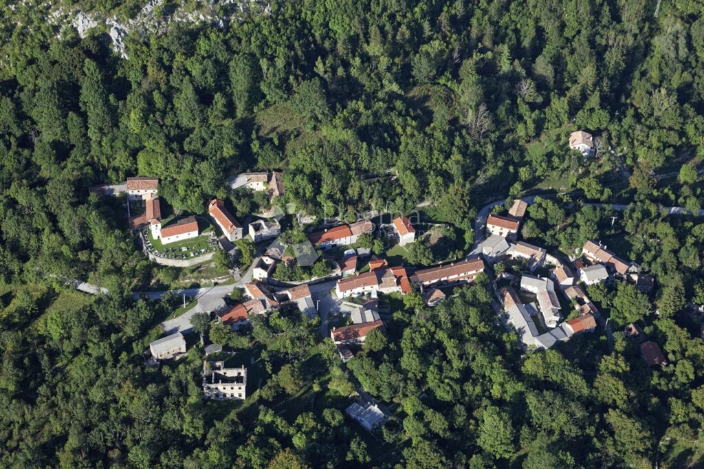 Image 6354502 - 1