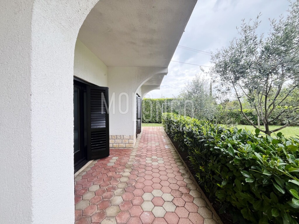 Image 6354621 - 7