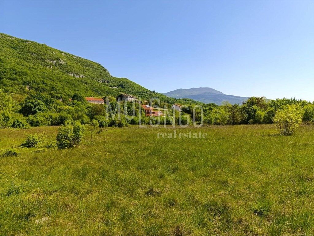 Image 6354623 - 11