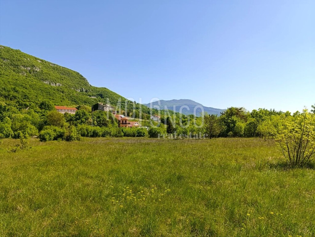 Image 6354623 - 3