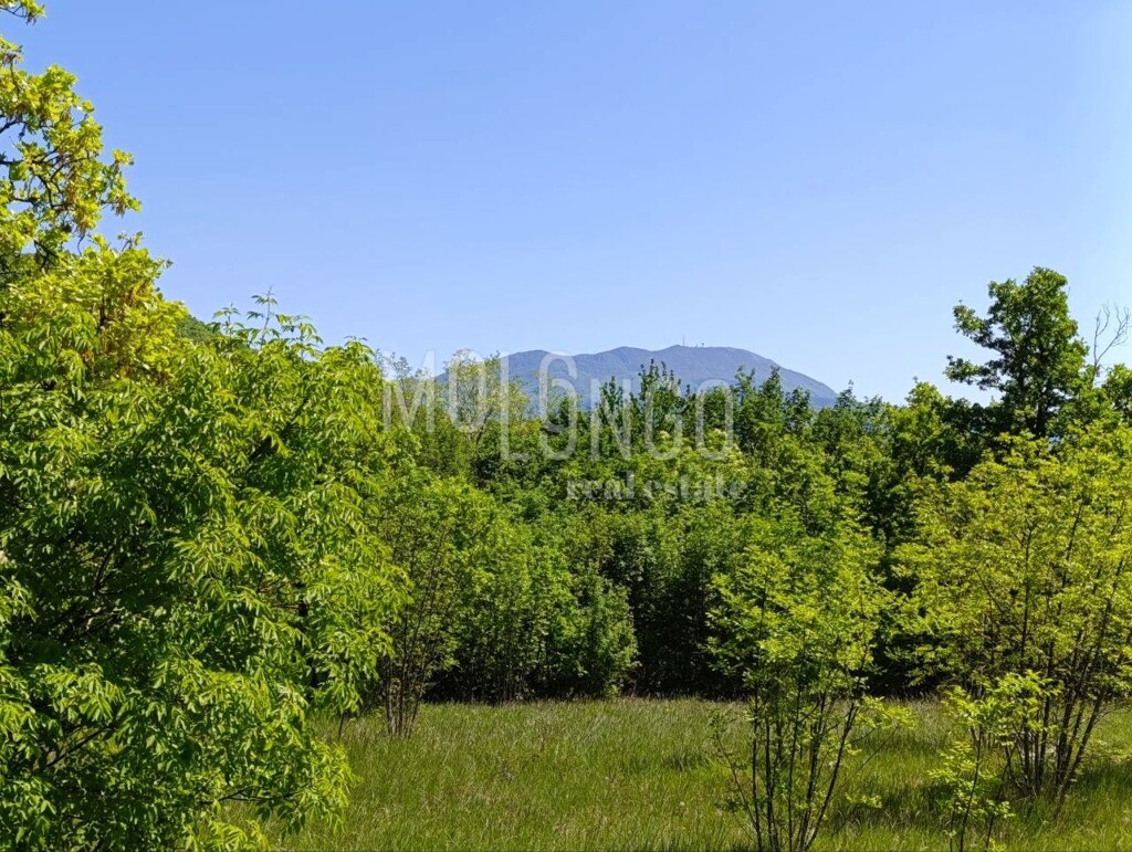 Image 6354623 - 7