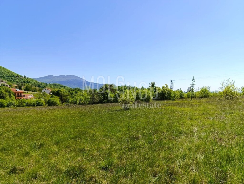 Image 6354624 - 4