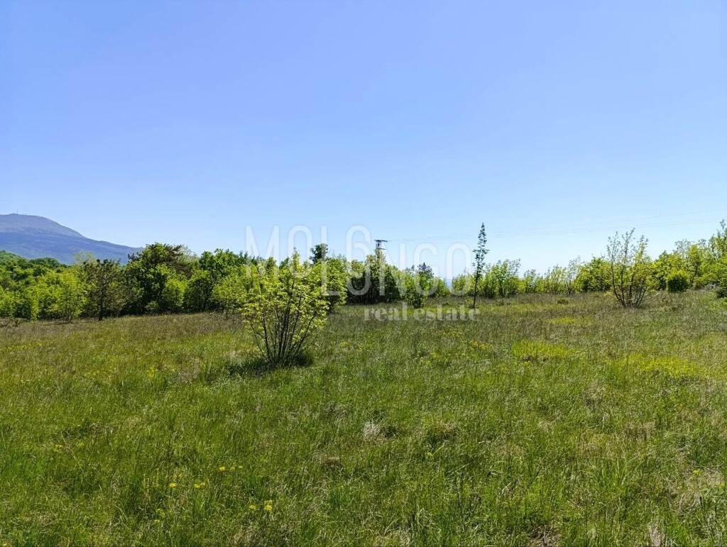 Image 6354624 - 6