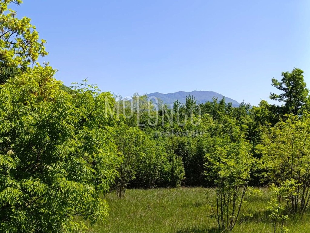 Image 6354624 - 1