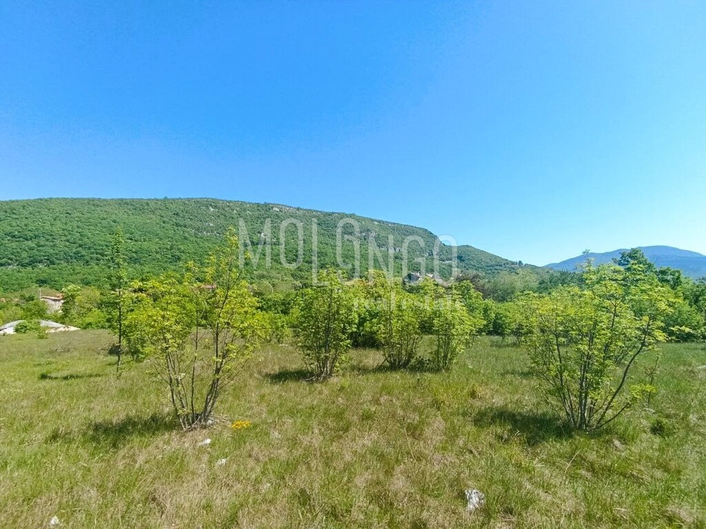 Image 6354624 - 3