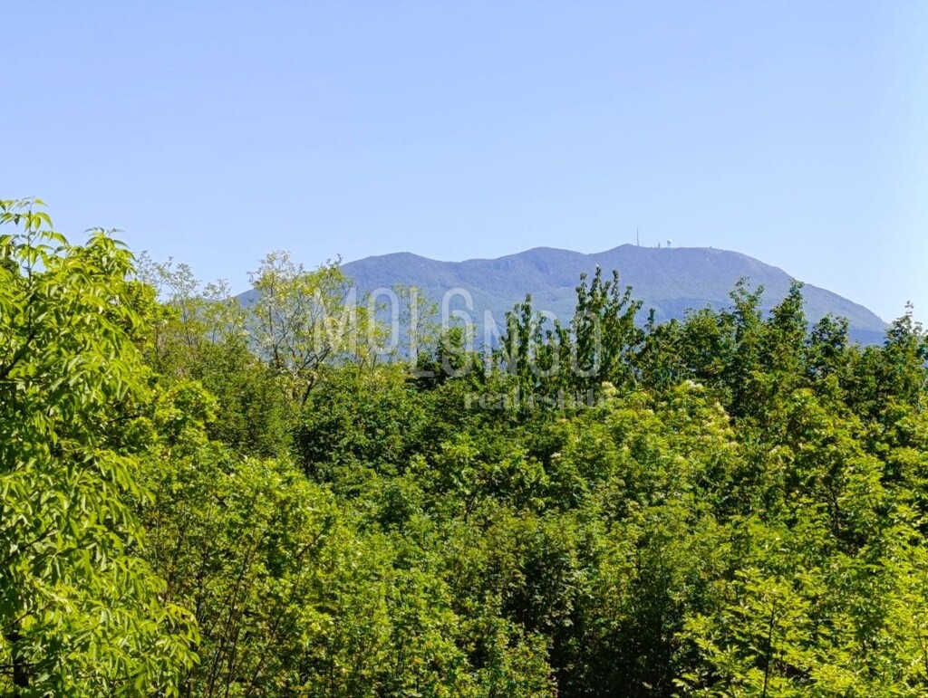 Image 6354624 - 2