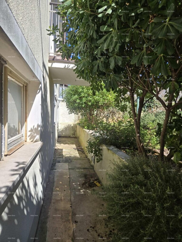 Image 6354677 - 3