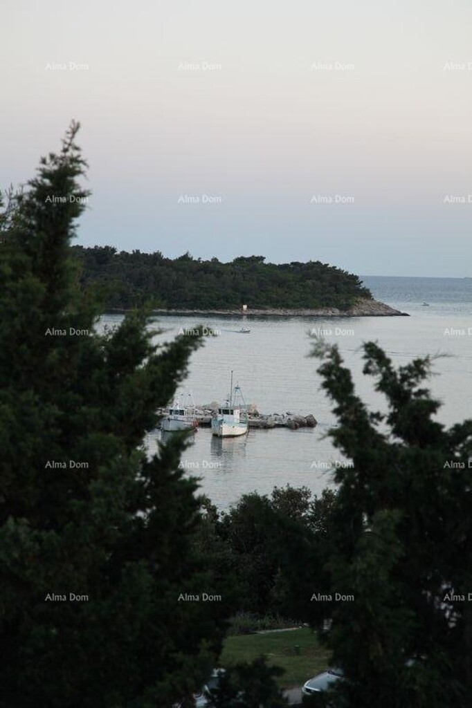 Image 6354687 - 15