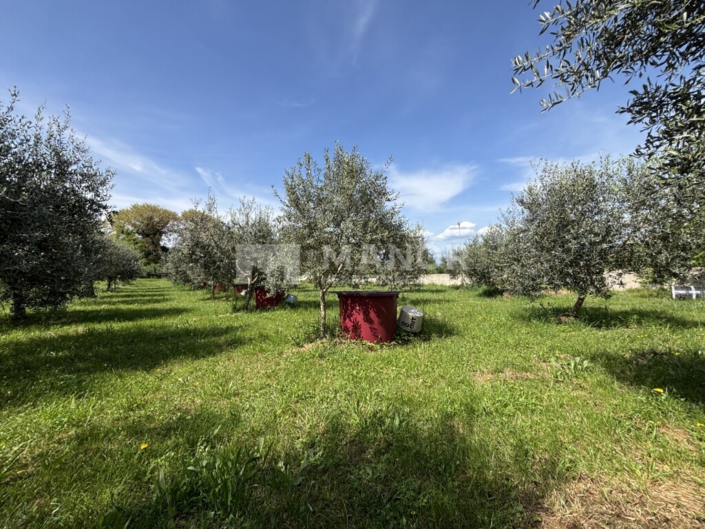 Image 6354690 - 2