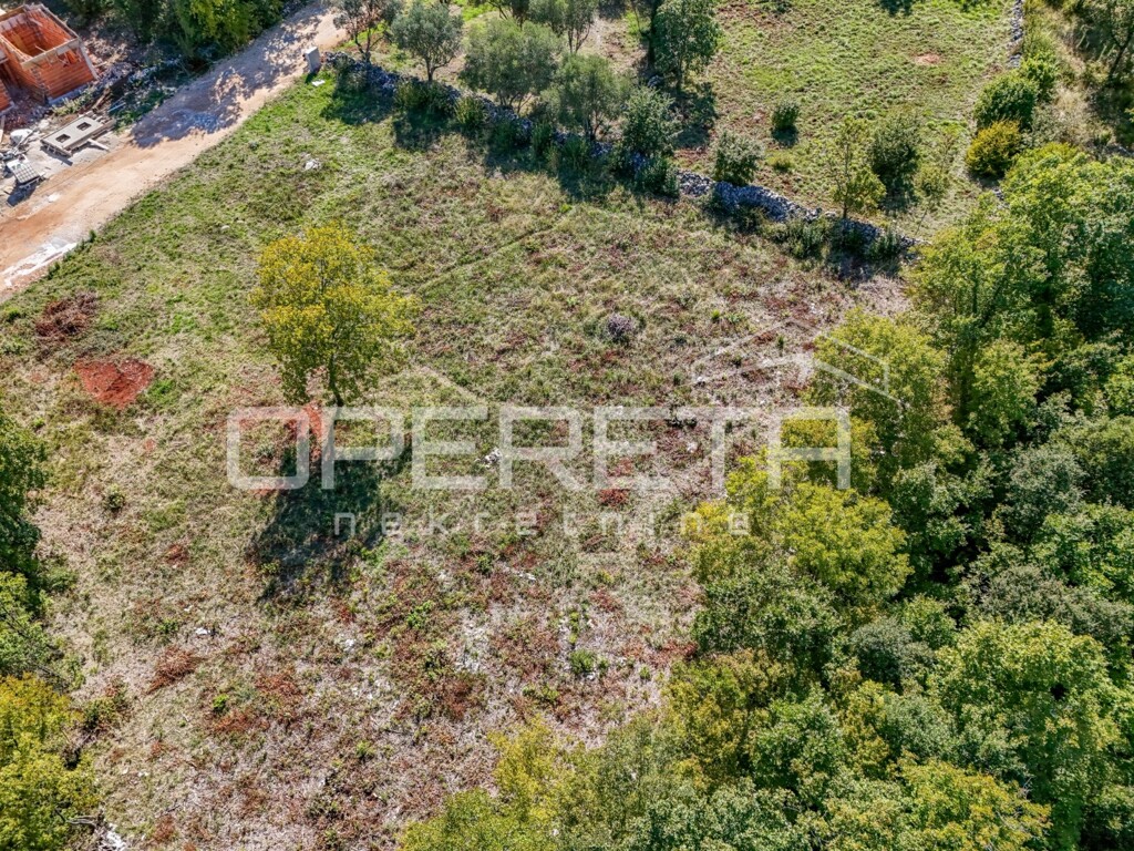 Image 6355043 - 5