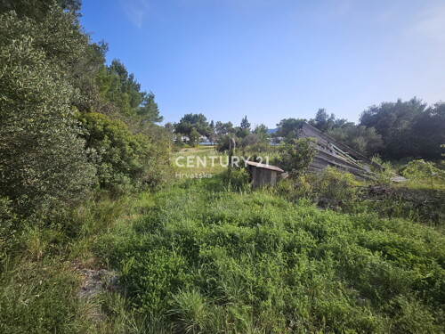 Thumbnail 6355189 - 12