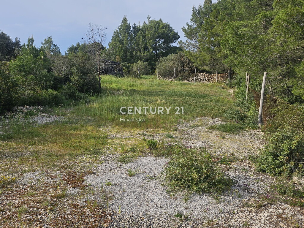 Image 6355189 - 16