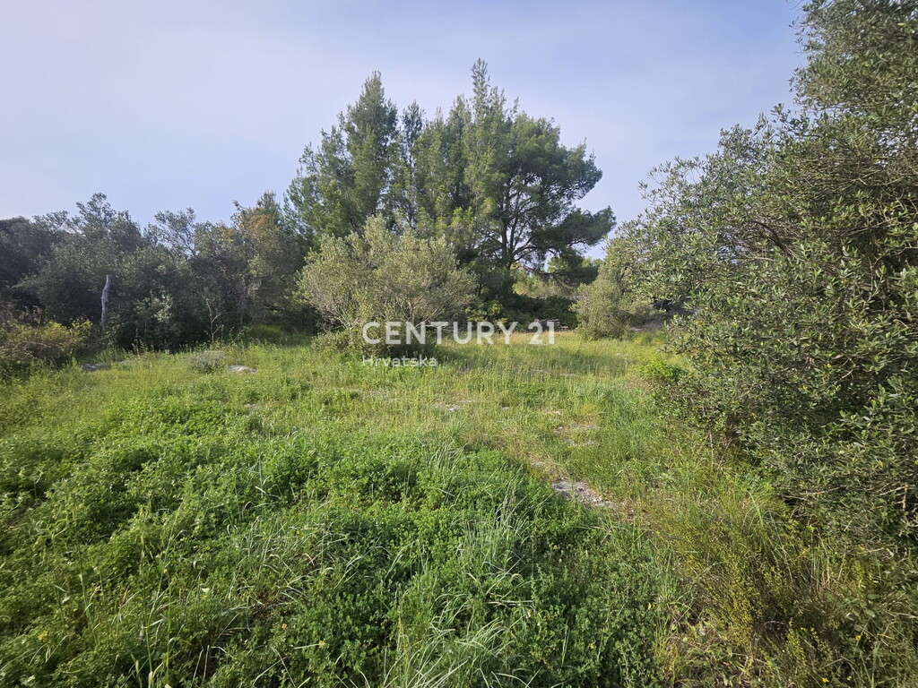 Image 6355189 - 19