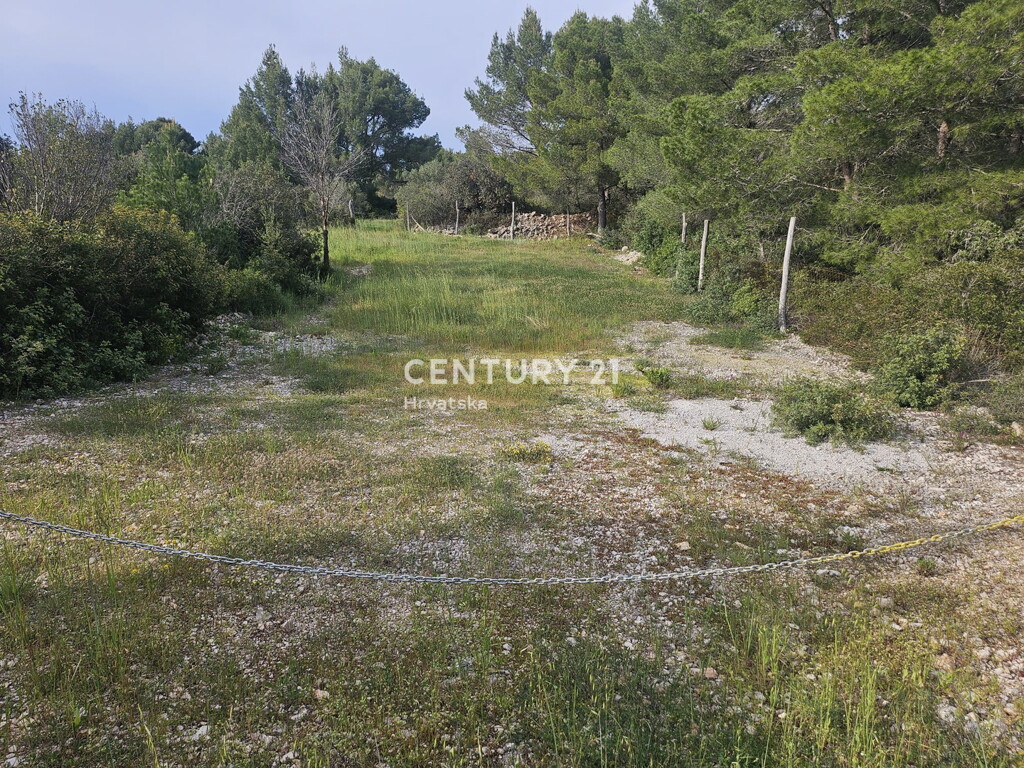 Image 6355189 - 9