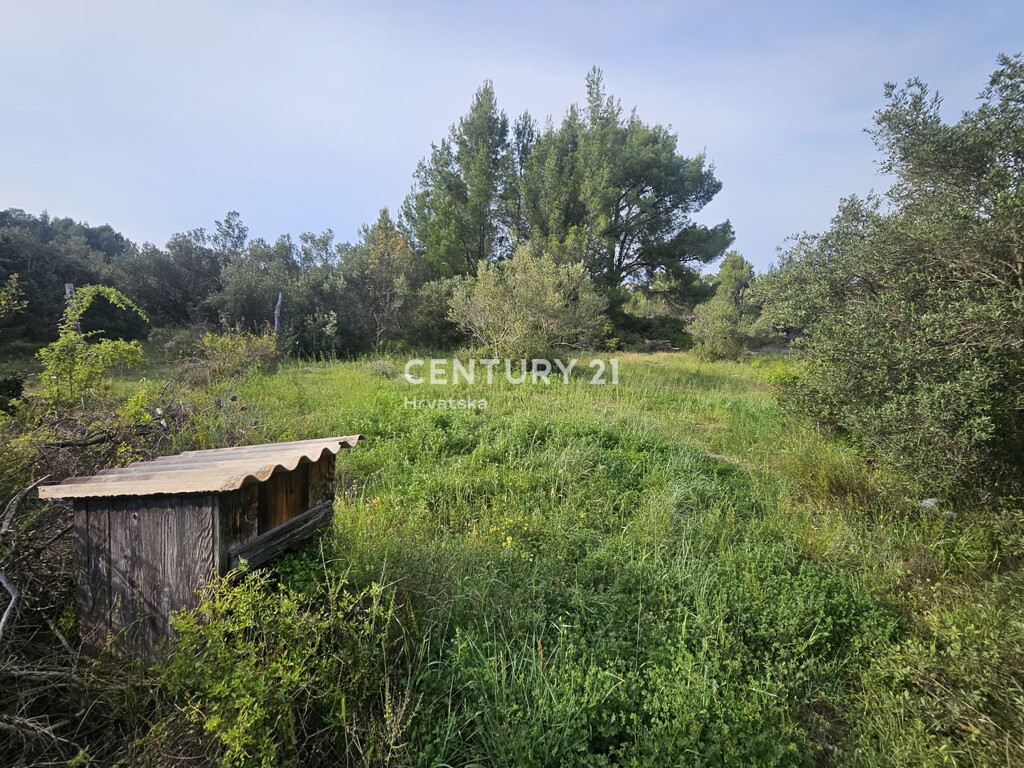 Image 6355189 - 20