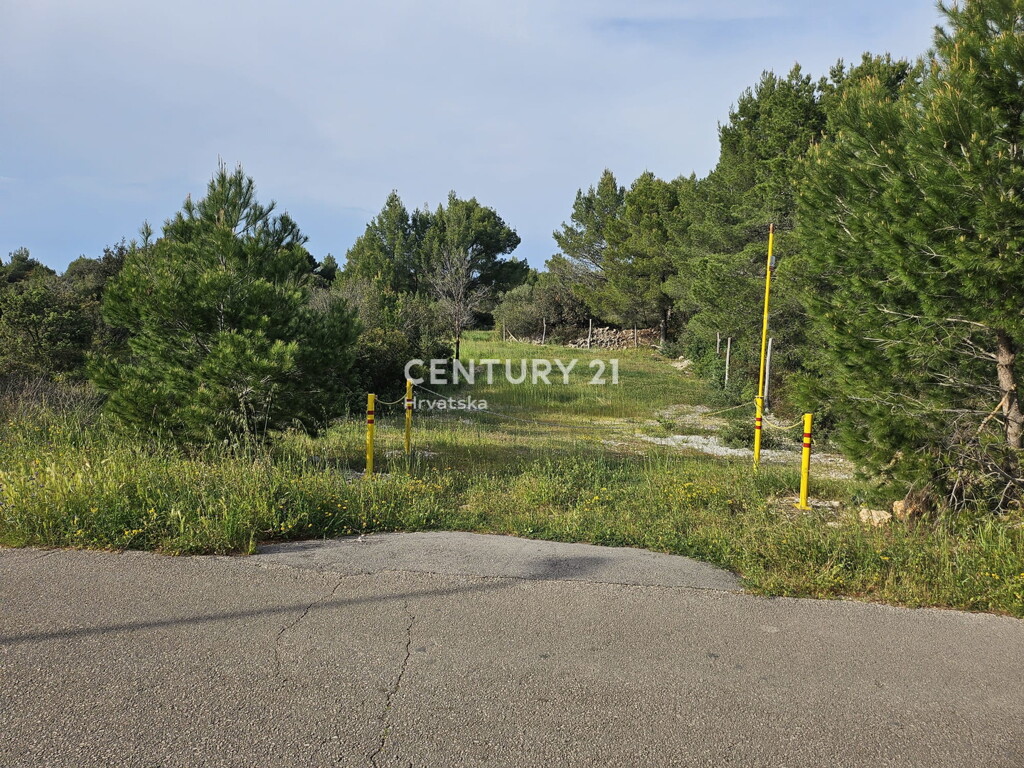 Image 6355189 - 10