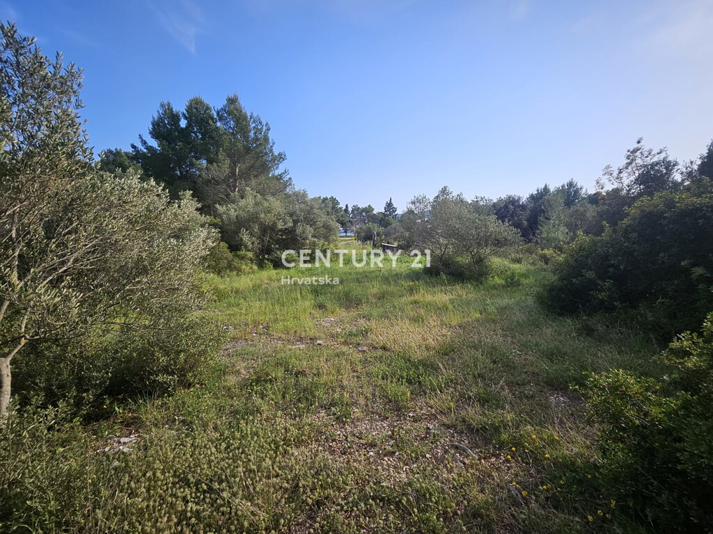 Image 6355189 - 17