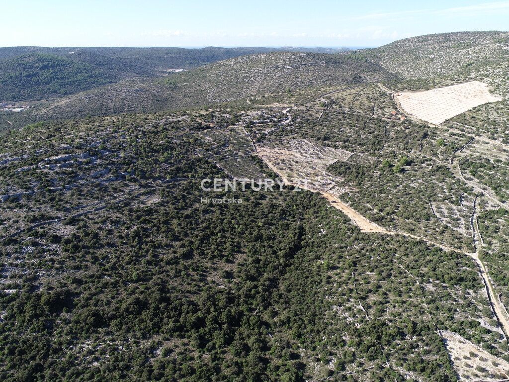 Image 6355190 - 7