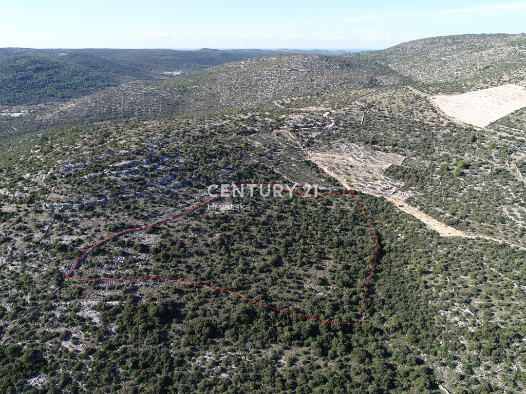 Image 6355190 - 3