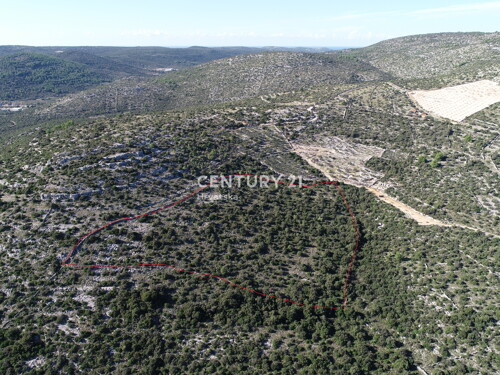 Thumbnail 6355190 - 3