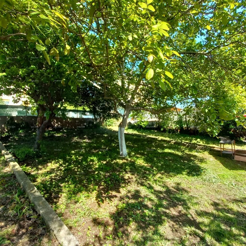 Image 6355212 - 18