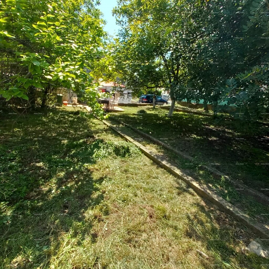 Image 6355212 - 16