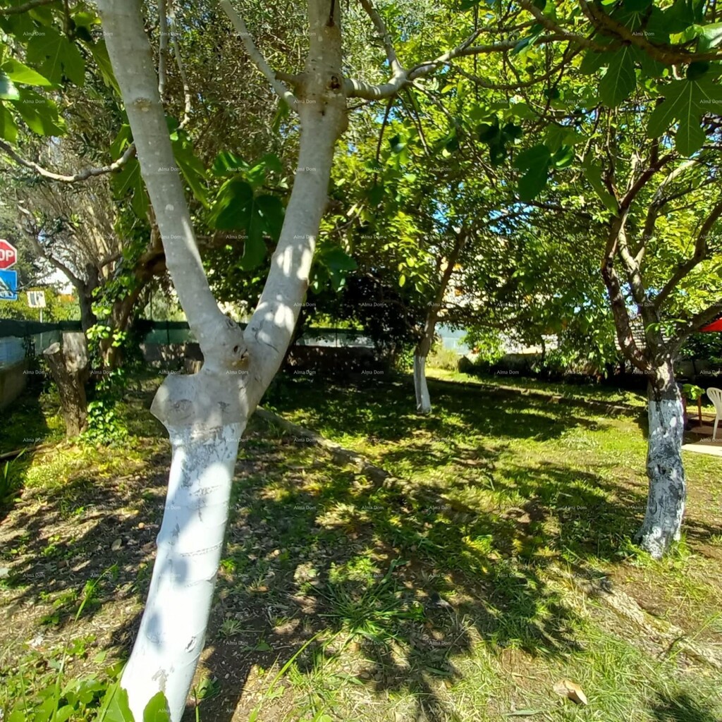 Image 6355212 - 20