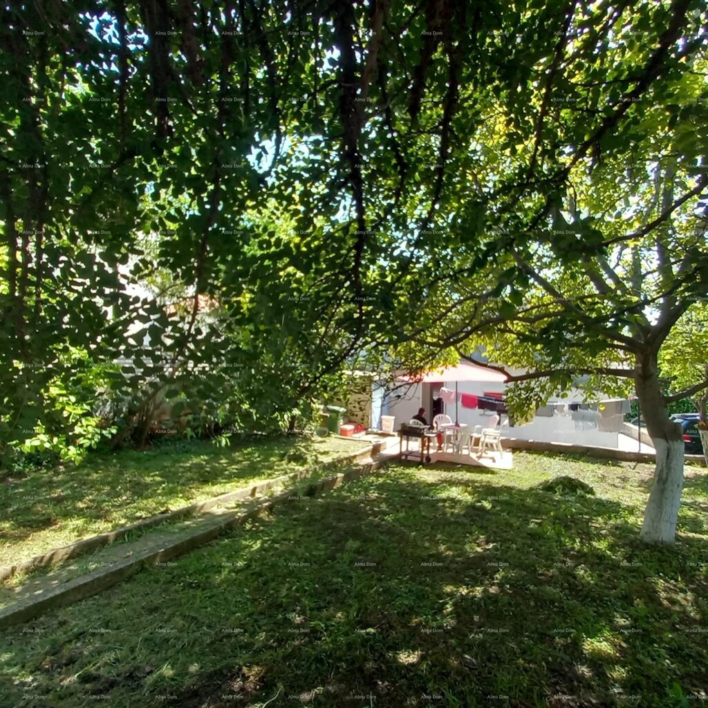 Image 6355212 - 17