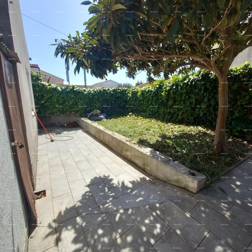 Image 6355212 - 13