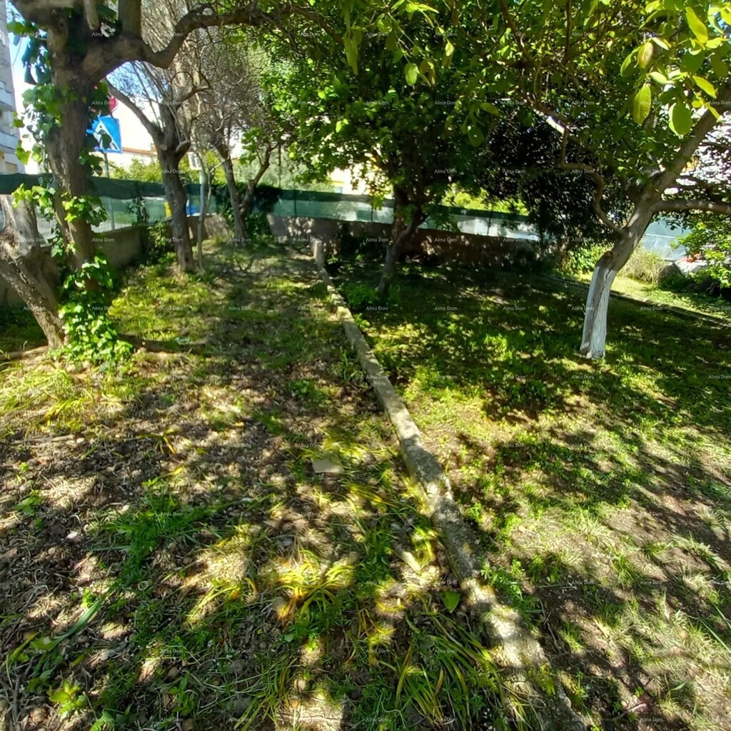 Image 6355212 - 19