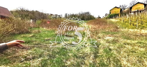 Thumbnail 6355237 - 5