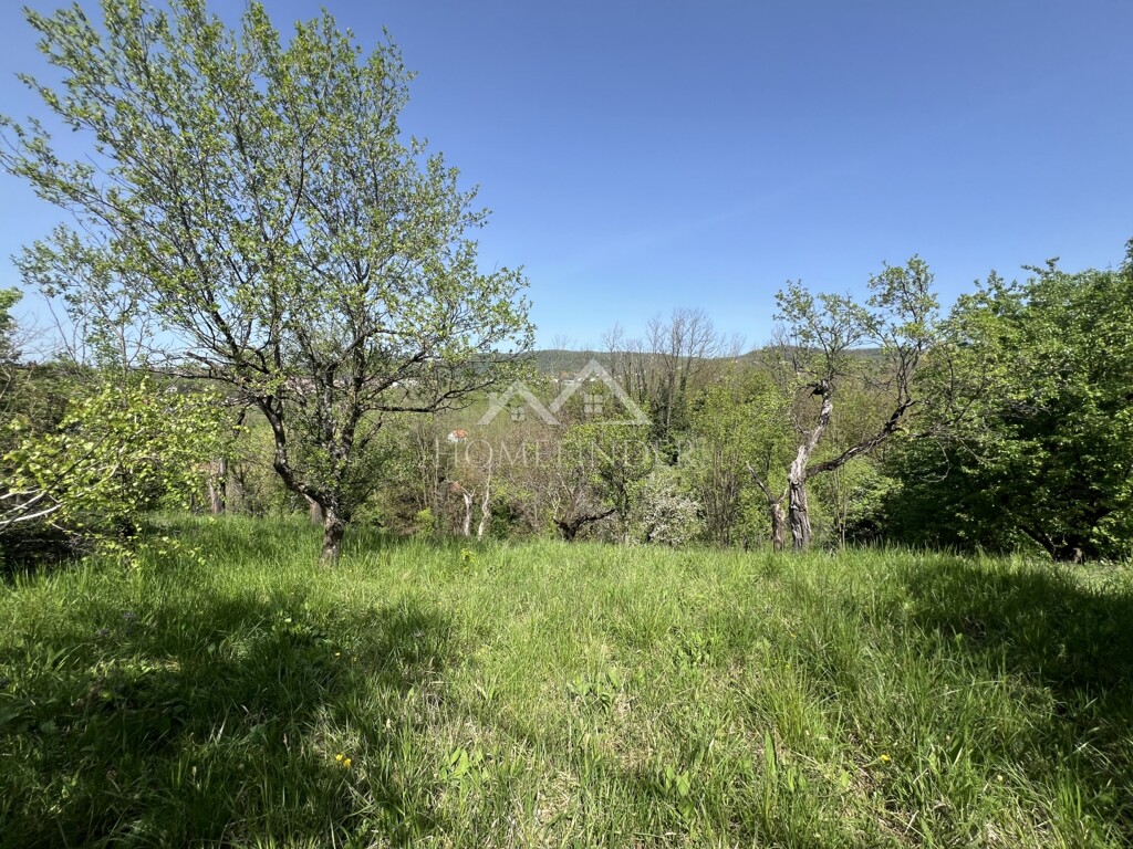 Image 6355246 - 1