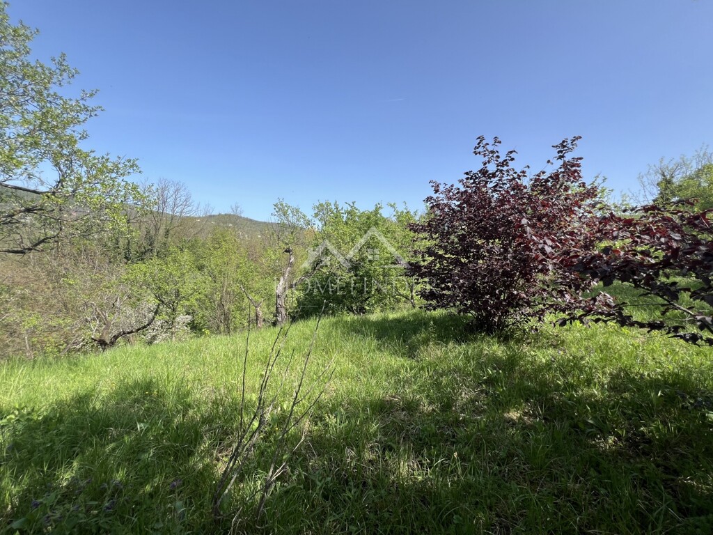 Image 6355246 - 3