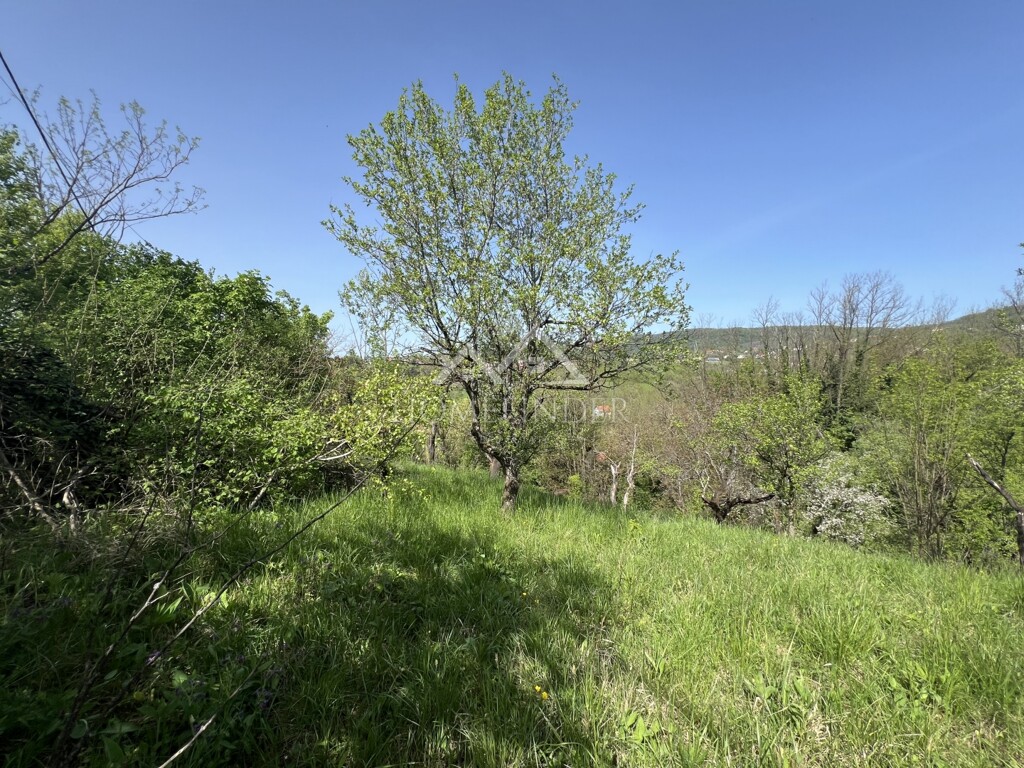 Image 6355246 - 2