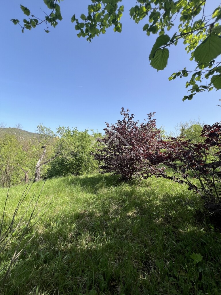 Image 6355246 - 4
