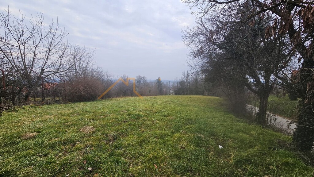 Image 6355256 - 4