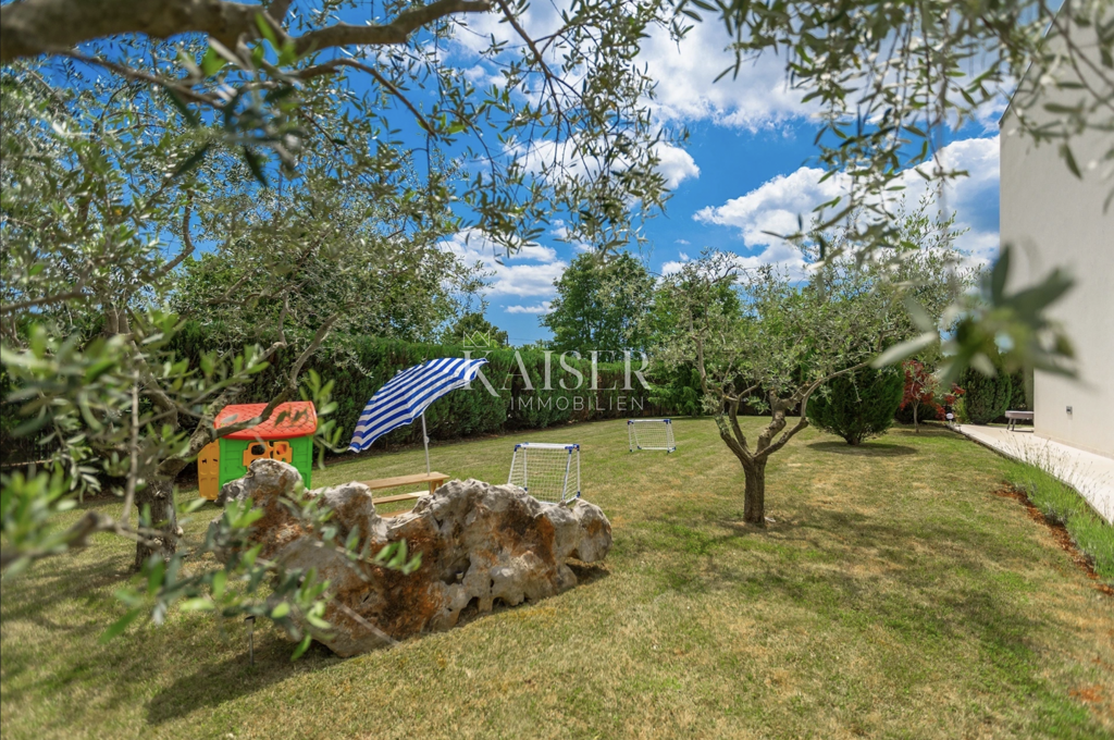 Image 6355257 - 12