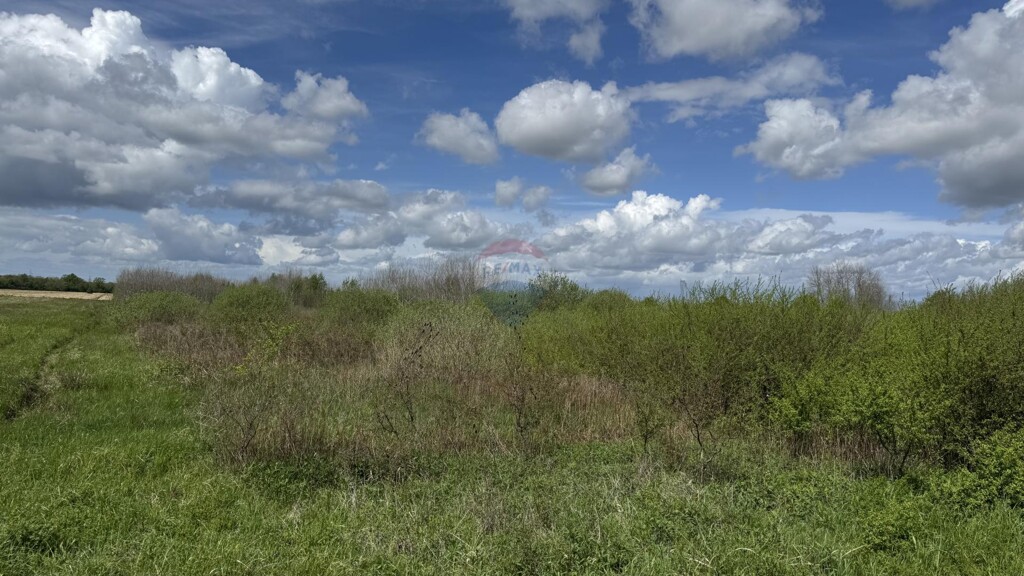 Image 6355304 - 2